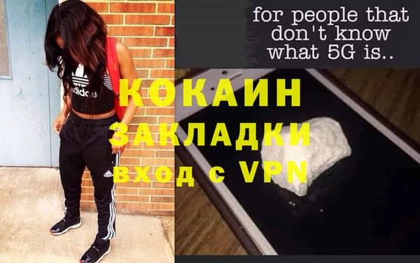 мяу мяу мука Аркадак